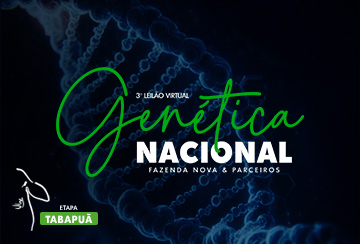 3º LEILÃO VIRTUAL GENÉTICA NACIONAL - FAZENDA NOVA & PARCEIROS - ETAPA TABAPUÃ